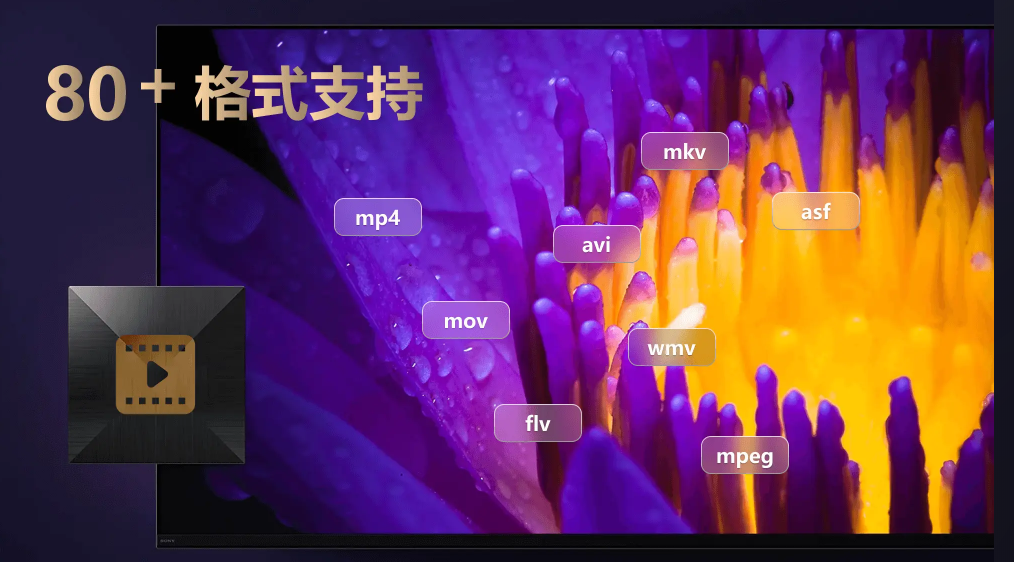 迅读完美播放器