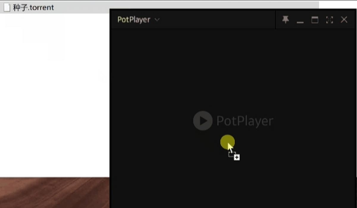 PotPlayer