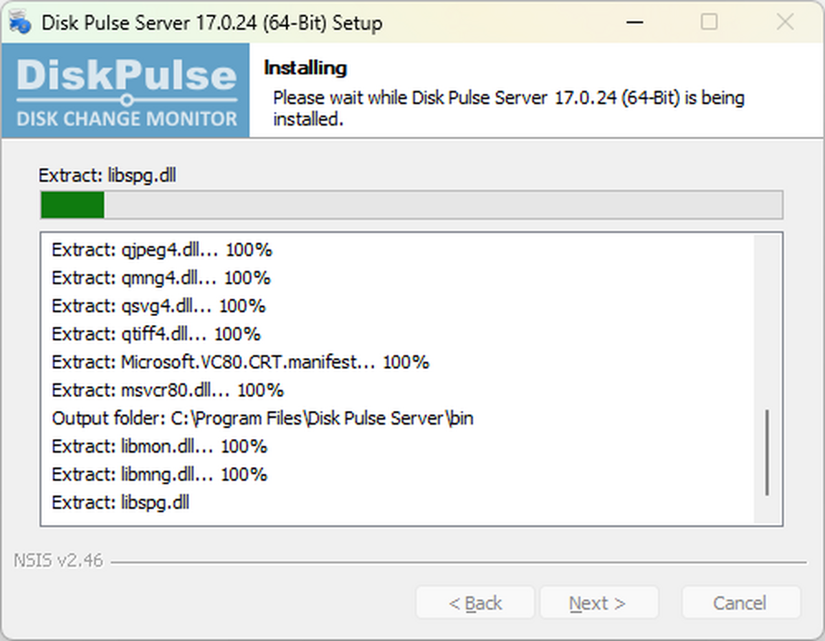 Disk Pulse Server