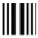 ŷ��������������